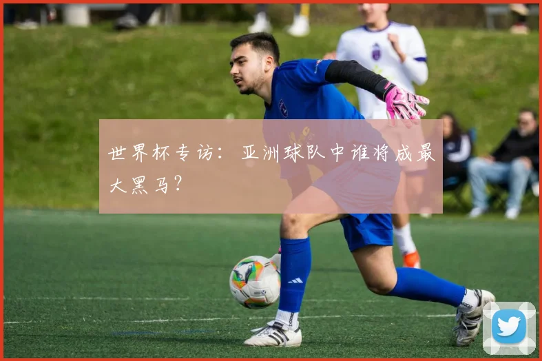 世界杯专访:亚洲球队中谁将成最大黑马?
