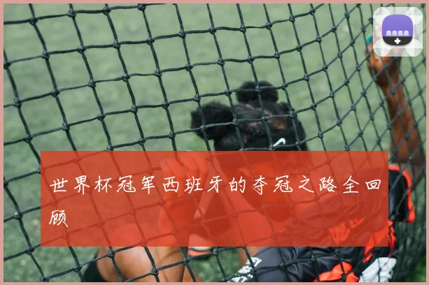 世界杯冠军西班牙的夺冠之路全回顾